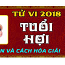 Tu-vi-2018-cho-nguoi-tuoi-Hoi